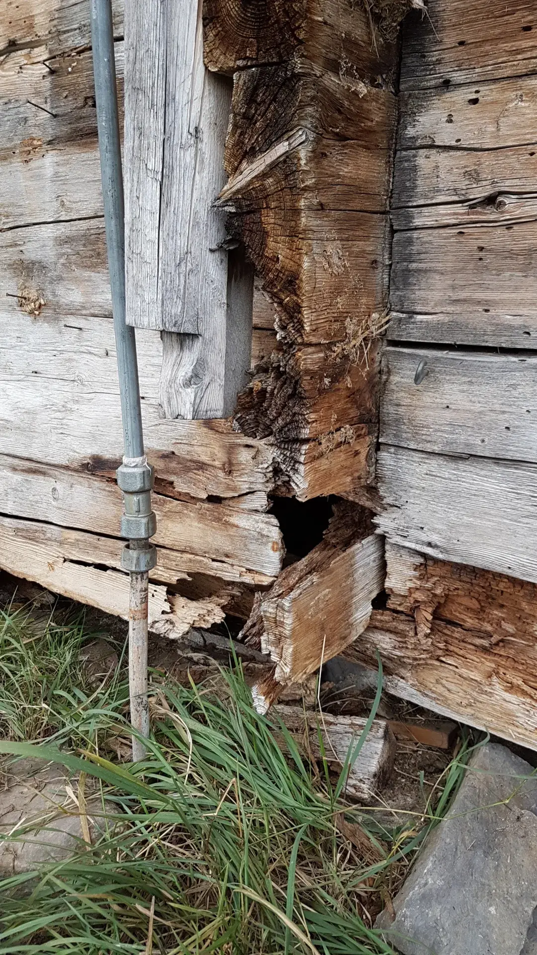 Die Feuchte hatte dem Gebäude überall zugesetzt.